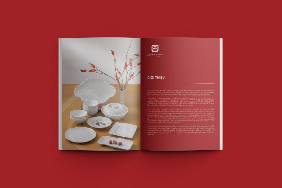 Số lượng in ảnh hưởng đến quá trình thiết kế và in ấn catalogue 
