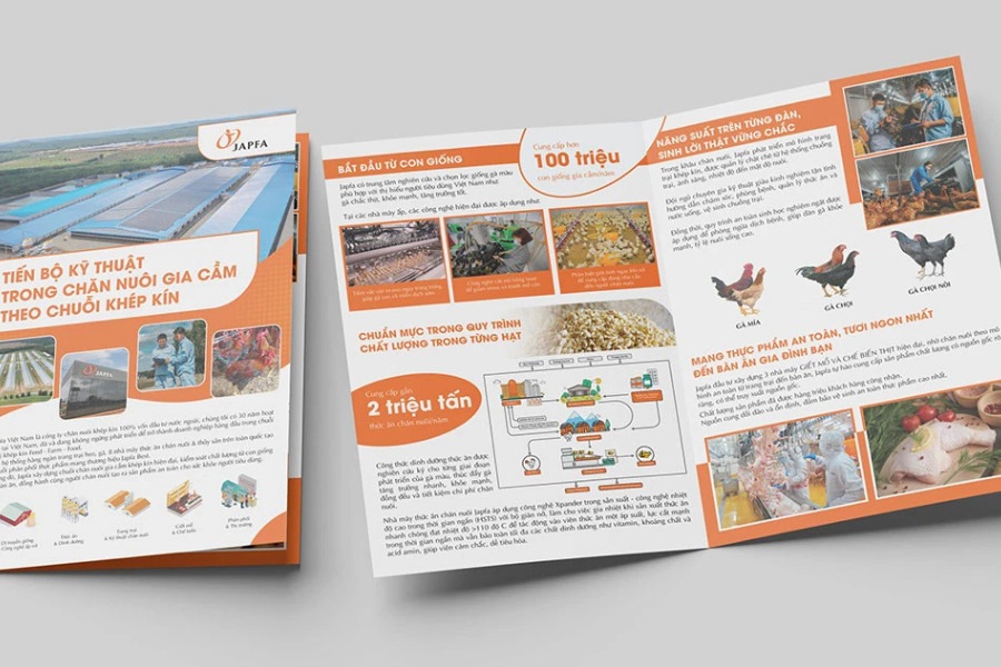 thiet-ke-to-roi-gia-re-5