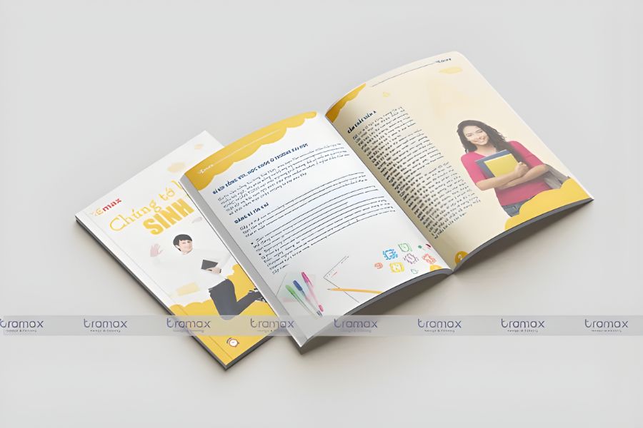 thiet-ke-ho-so-nang-luc-bac-ninh-10