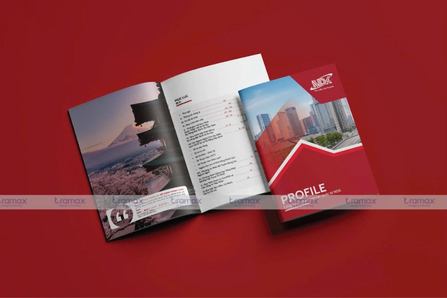 thiet-ke-ho-so-nang-luc-bac-ninh-7