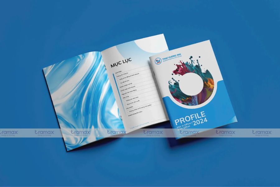 thiet-ke-ho-so-nang-luc-bac-ninh-8