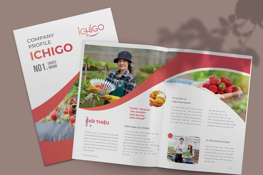 dich-vu-thiet-ke-profile-11