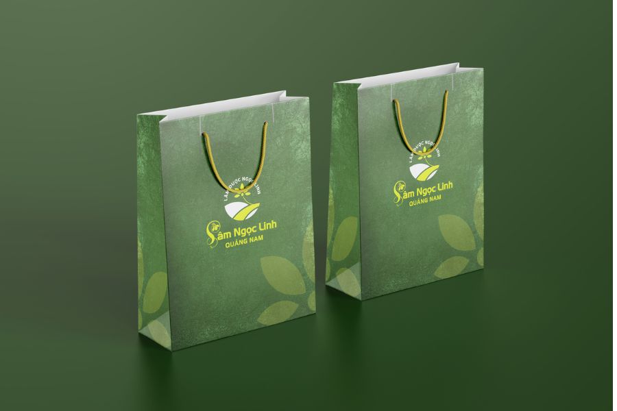 in-tui-giay-dep-bramax-4