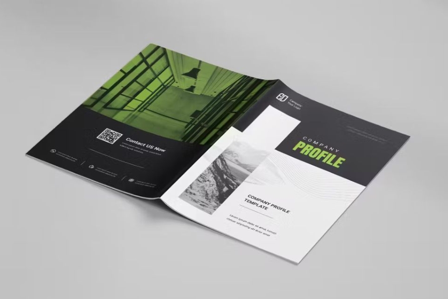 ho-so-nang-luc-cong-ty-luat-2