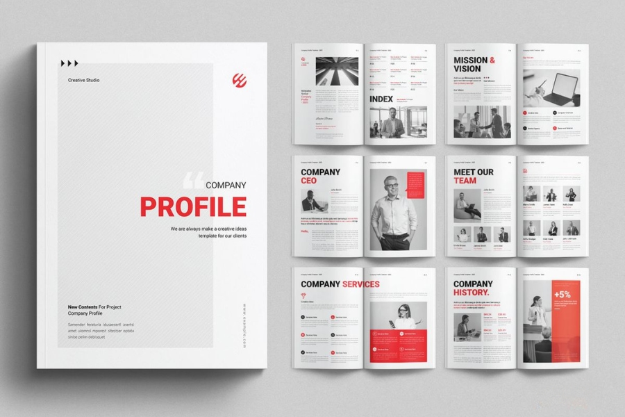 ho-so-nang-luc-cong-ty-luat-5