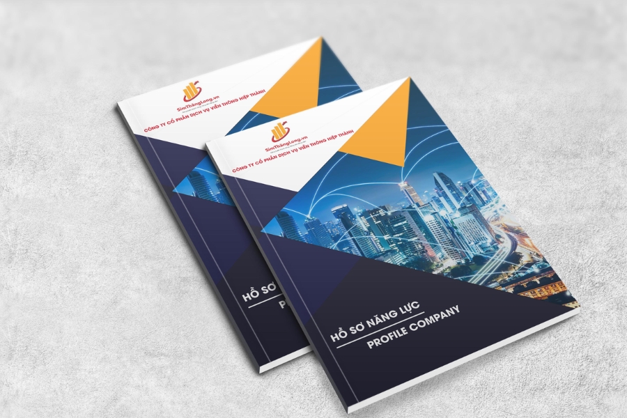 ho-so-nang-luc-cong-ty-van-tai-10