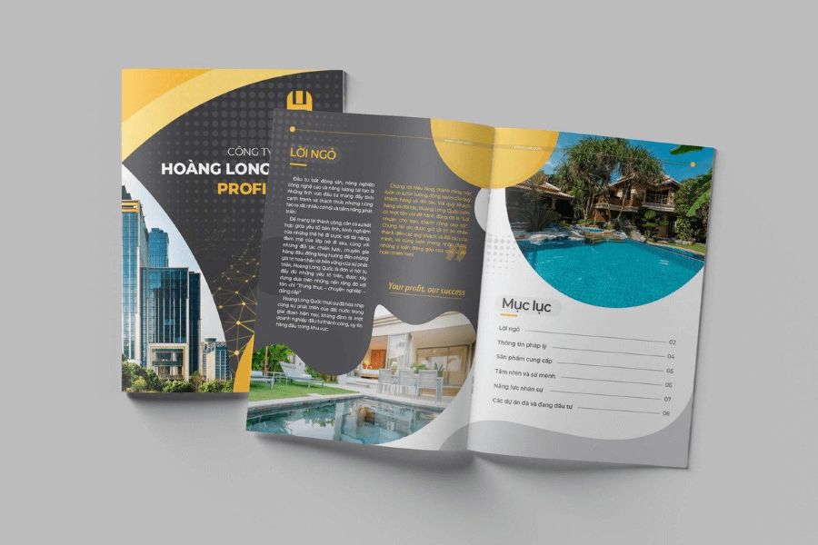 thiet-ke-ho-so-nang-luc-gia-re-2