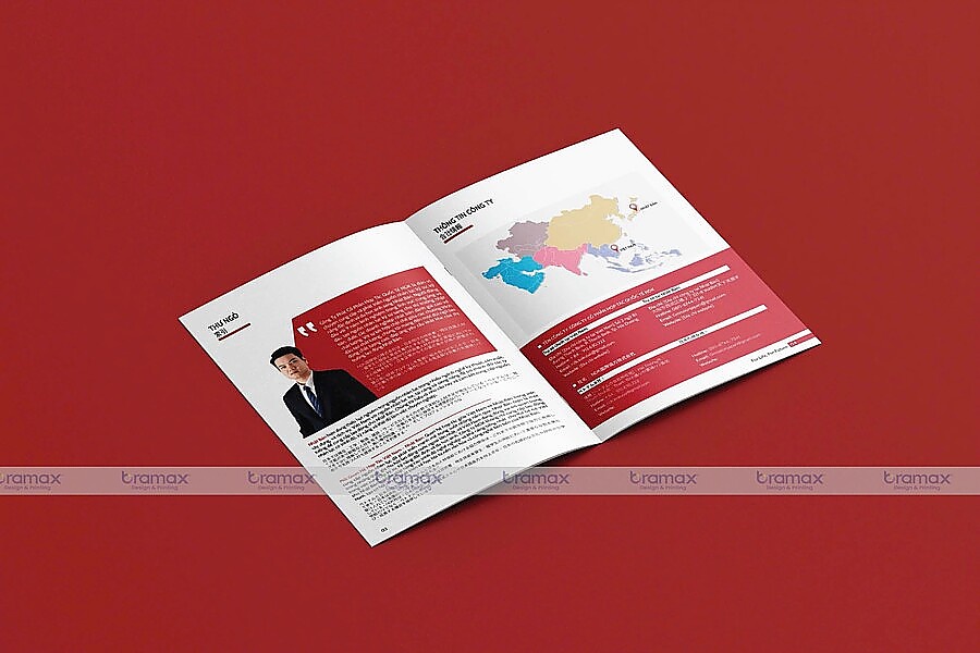 bao-gia-tihiet-ke-catalogue-4