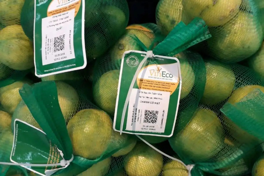 in-tem-ma-vach-bac-giang-4