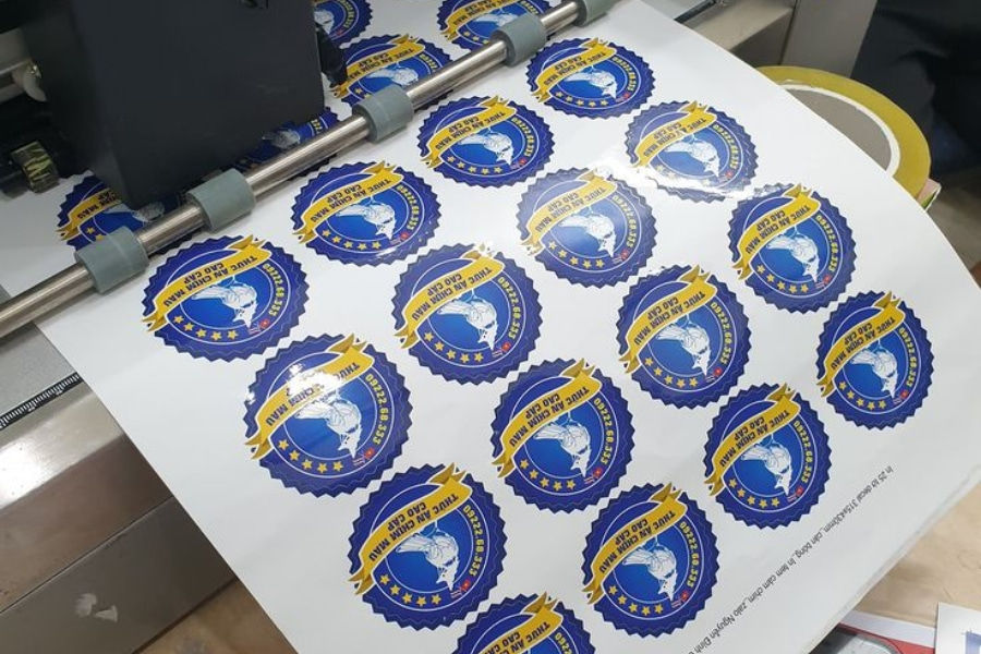 in-decal-cat-be-5