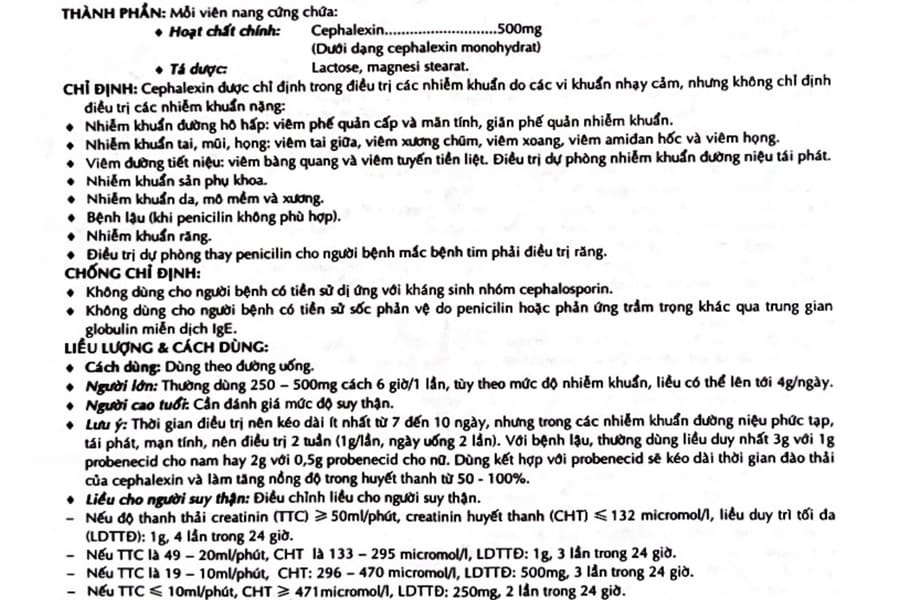 Bramax - Đơn vị cung cấp dịch vụ in ấn chất lượng cao