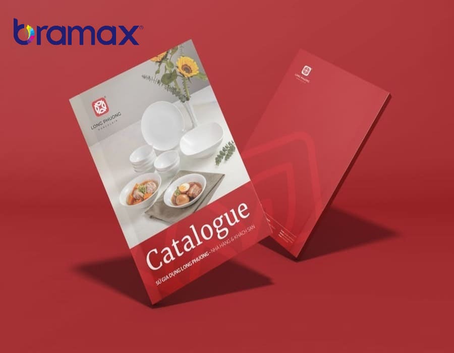gia-thiet-ke-catalogue-chuyen-nghiep-1