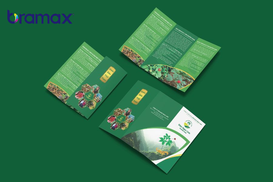 in-catalogue-gia-re-so-luong-it. jpg