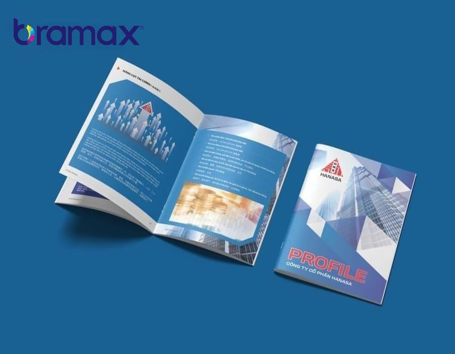 profile-cong-ty-dep-1