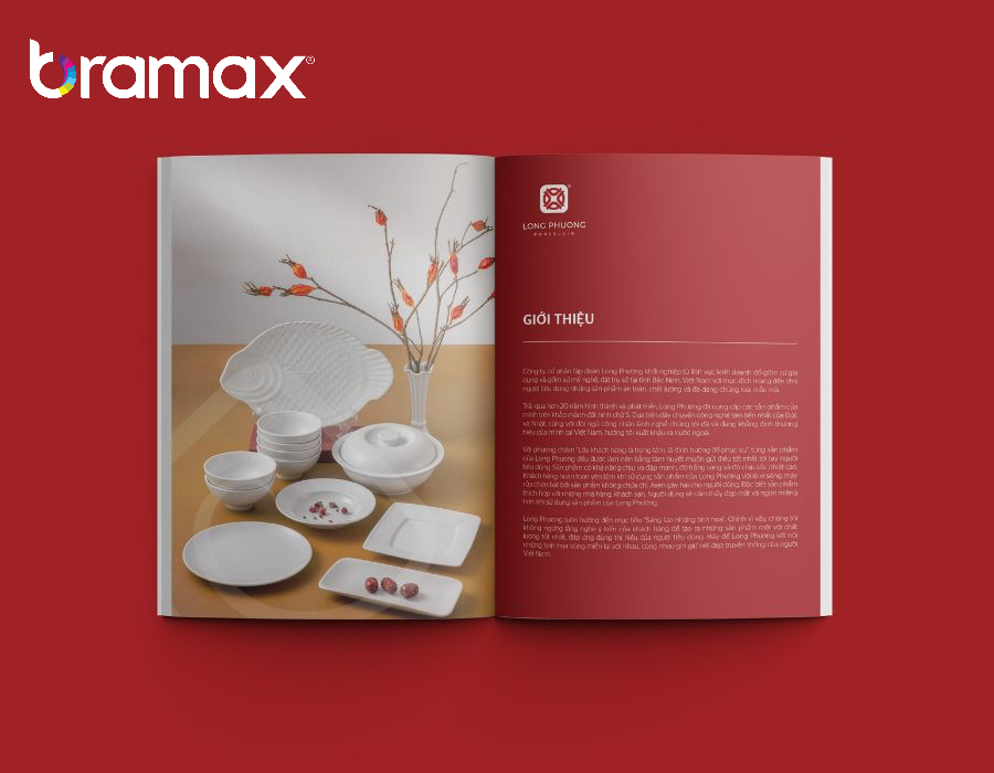 thiet-ke-catalogue-bao-gia