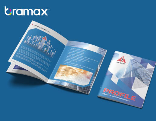 thiet-ke-profile-gioi-thieu-cong-ty