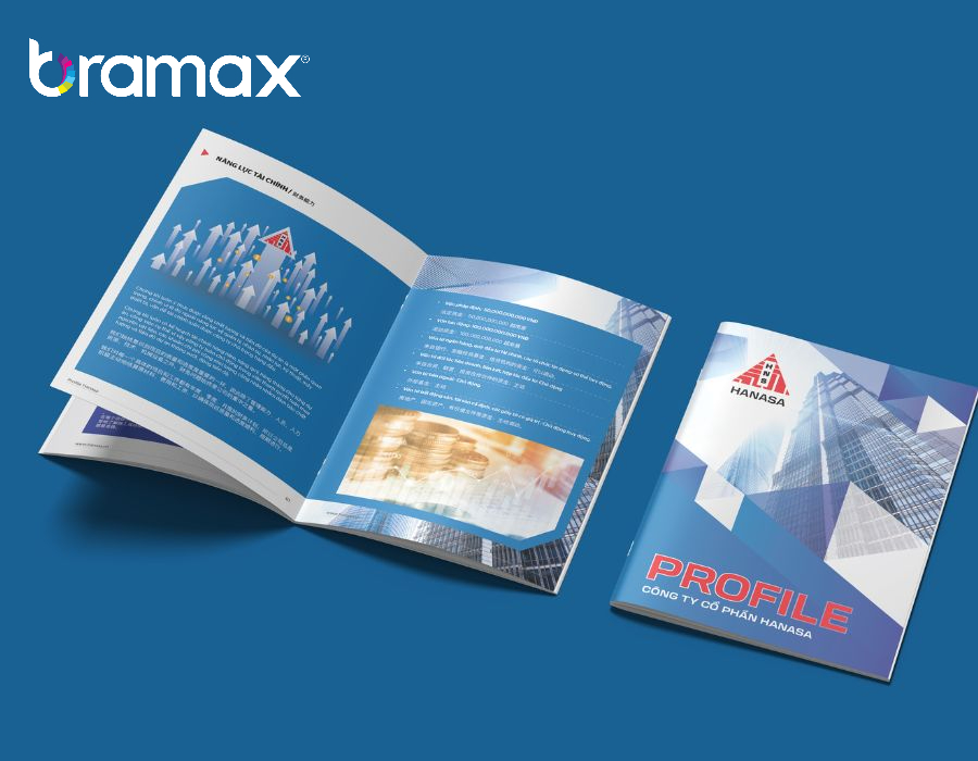 thiet-ke-profile-gioi-thieu-cong-ty