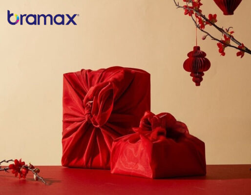 gia-thiet-ke-hop-qua-tet-bramax-1