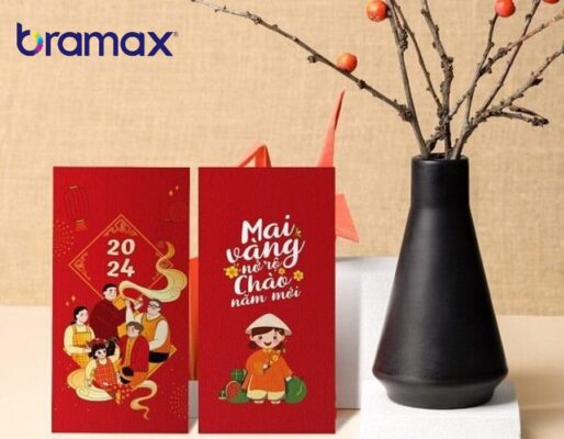 thiet-ke-li-xi-tet-1