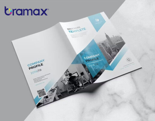 ho-so-nang-luc-cong-ty-luat-1