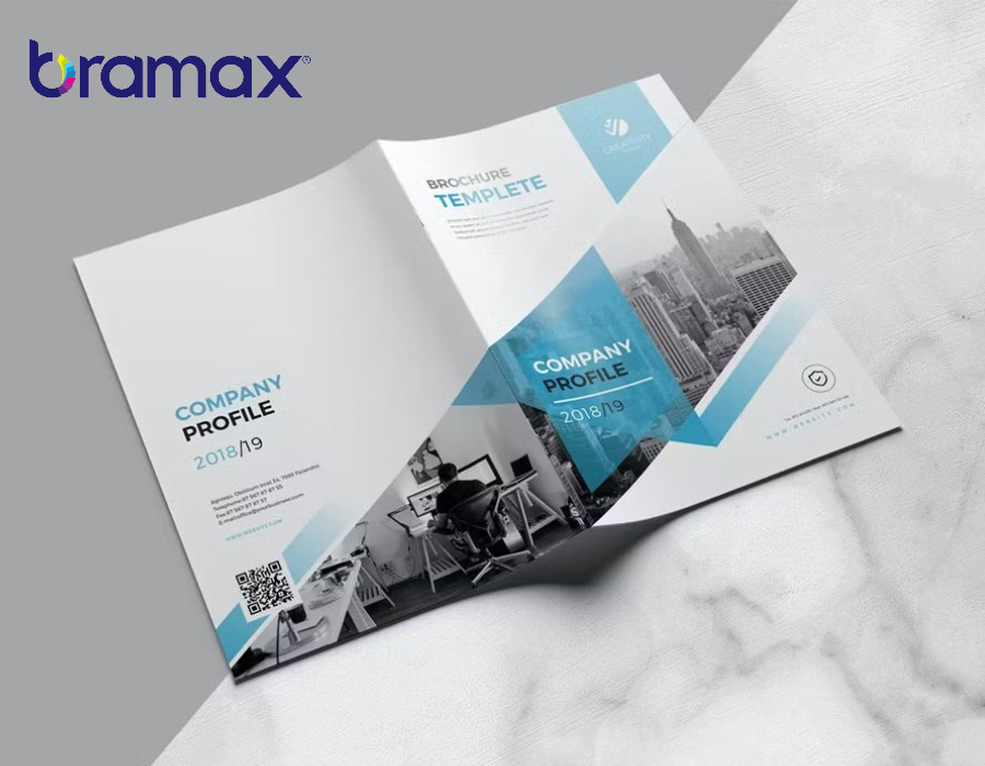 ho-so-nang-luc-cong-ty-luat-1