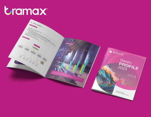 ho-so-nang-luc-cong-ty-noi-that-1