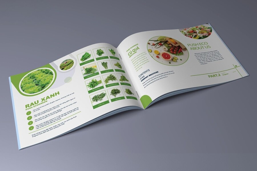 chi-phi-thiet-ke-catalogue-2