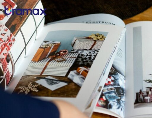 thiet-ke-catalogue-online-1