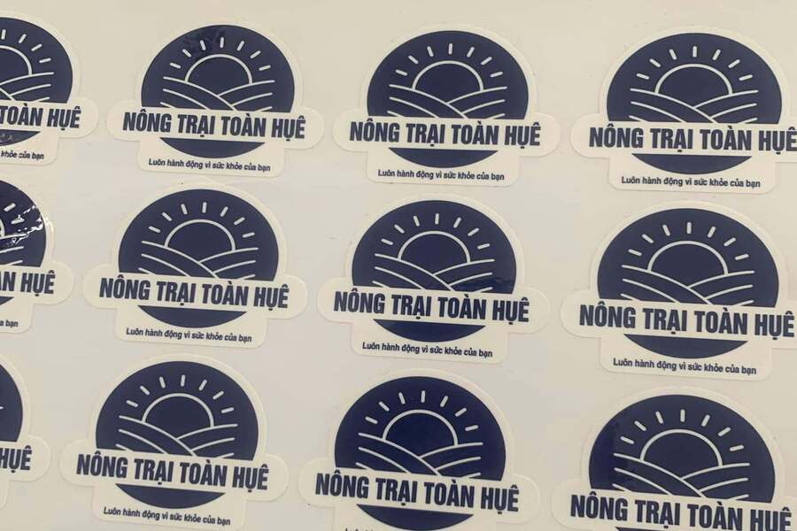 so-sanh-in-pet-va-in-decal-7